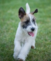 /album/fotogaleria/erik-jrt-jpg/