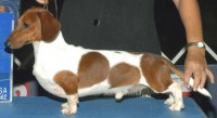 /album/fotogaleria/tangoptsaug09-jpg/